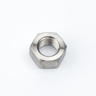 Incoloy Hex Nut